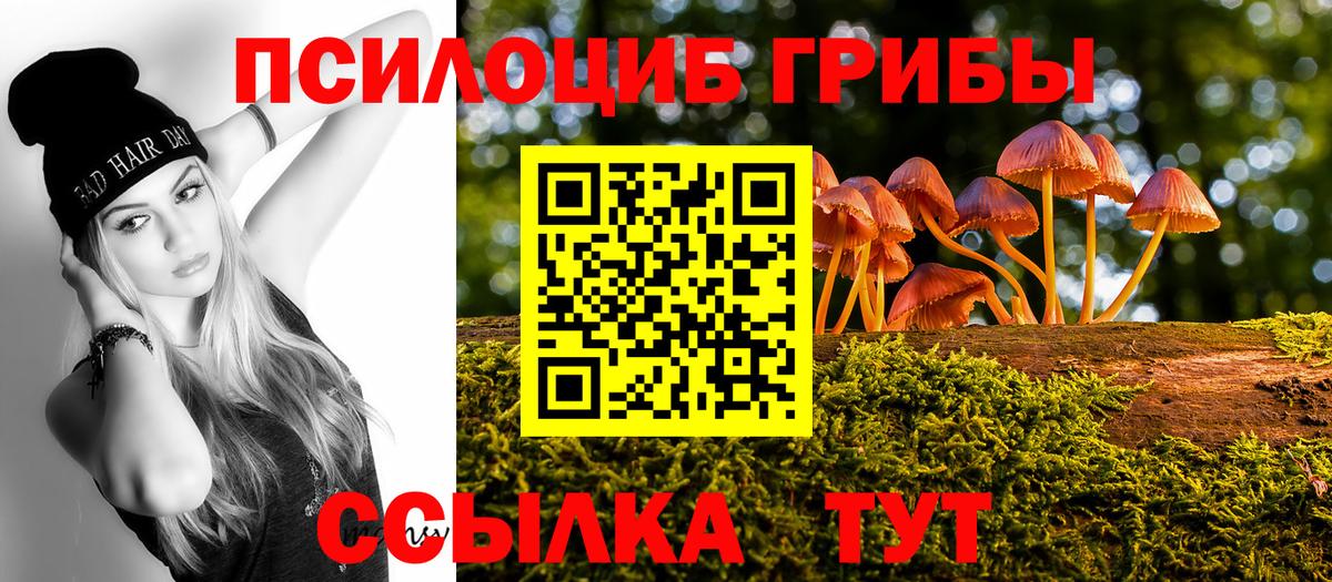 Ессентуки  Псилоцибиновые грибы GOLDEN TEACHER  Вход с VPN  Галлюциногенные грибы мицелий 