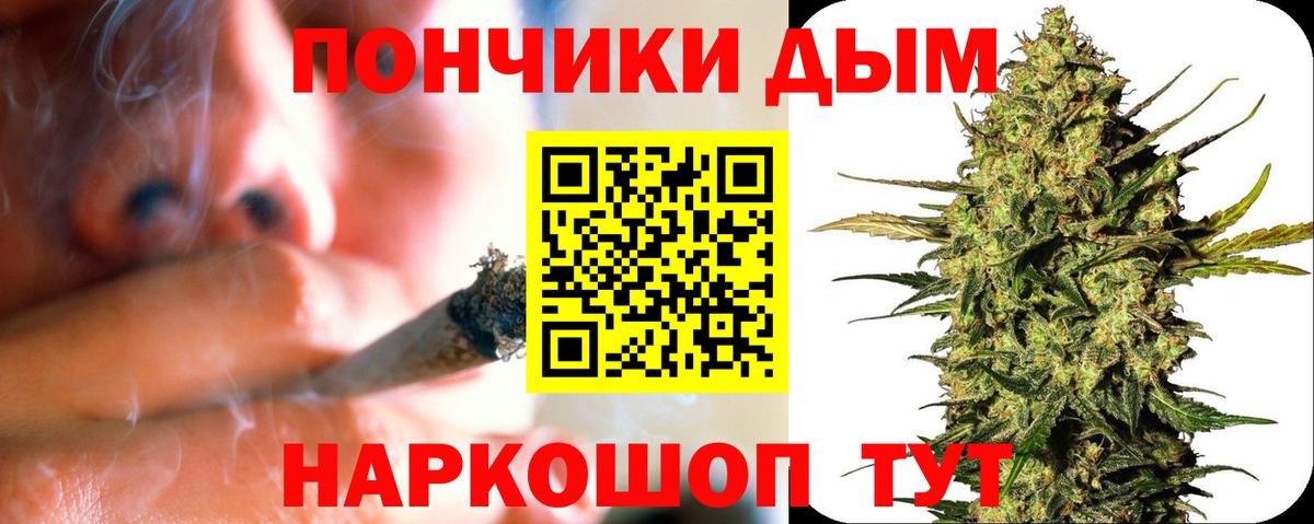 Бошки марихуана марихуана  Конопля LSD WEED  Ессентуки  Каннабис сатива  Вход с VPN 